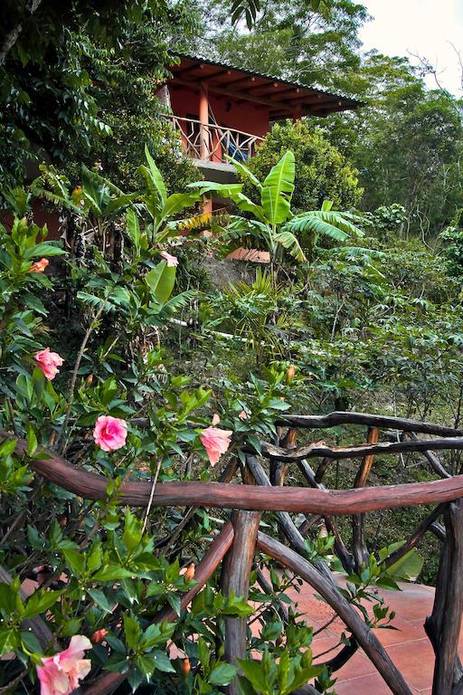 Casa Madre Tierra Hotel Vilcabamba Esterno foto